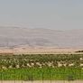 مزرعة وادي السيح بمدينة أبوزنيمة