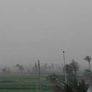 عاصفة ترابية تضرب محافظة الفيوم